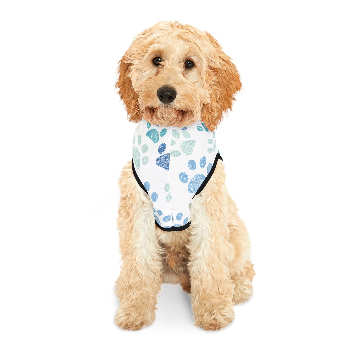 I do not like strangers....  Pet Hoodie/ Holiday