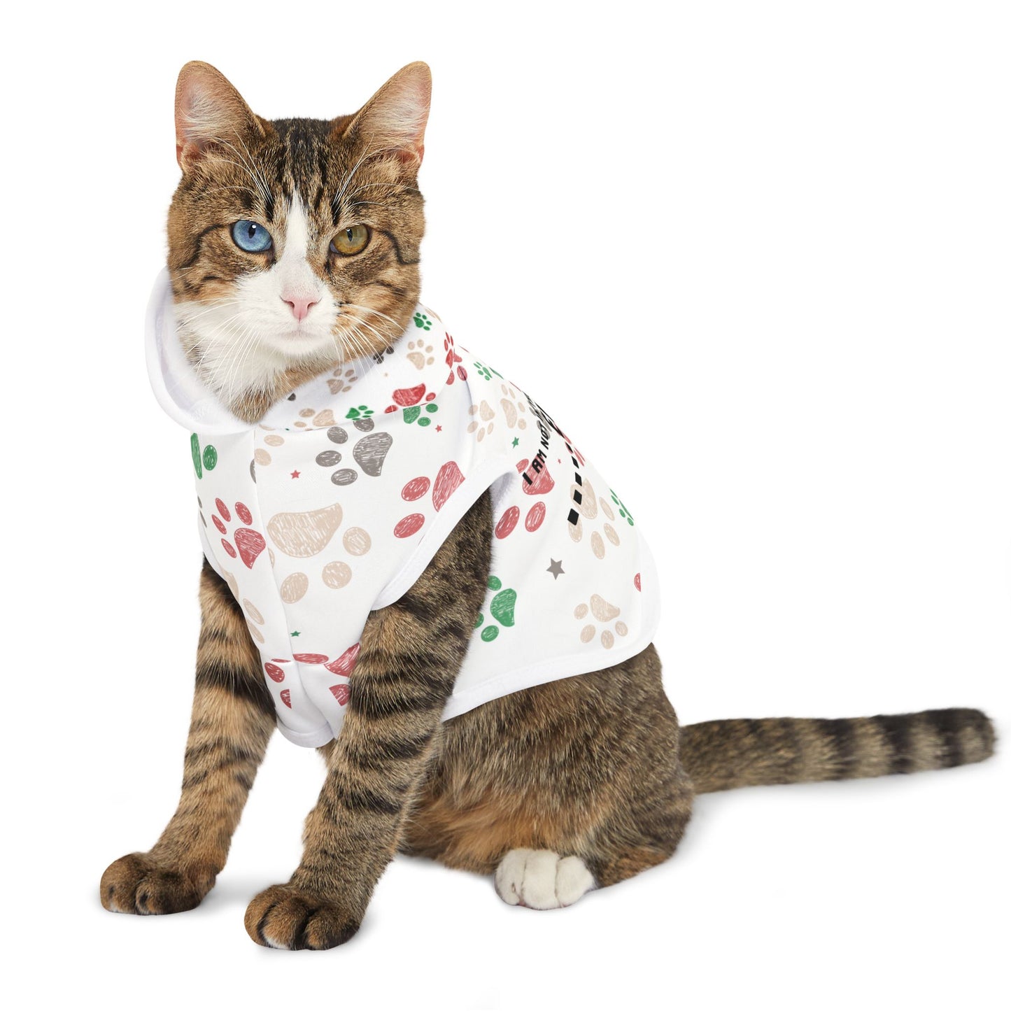 I am not in the mood Cute Pet Hoodie for cats/ Holiday