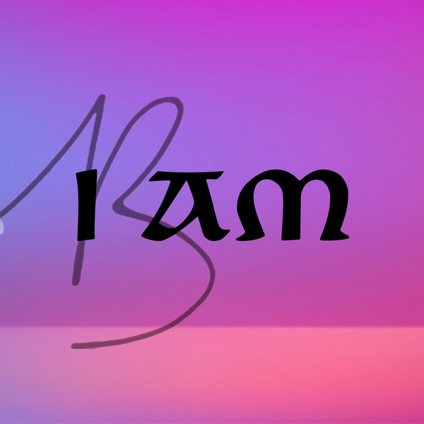 I AM inspirational T's and bumpers